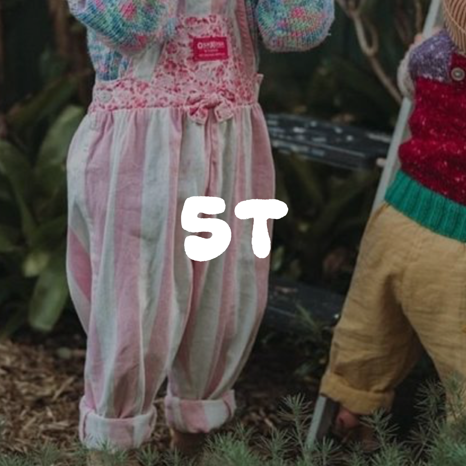 5T