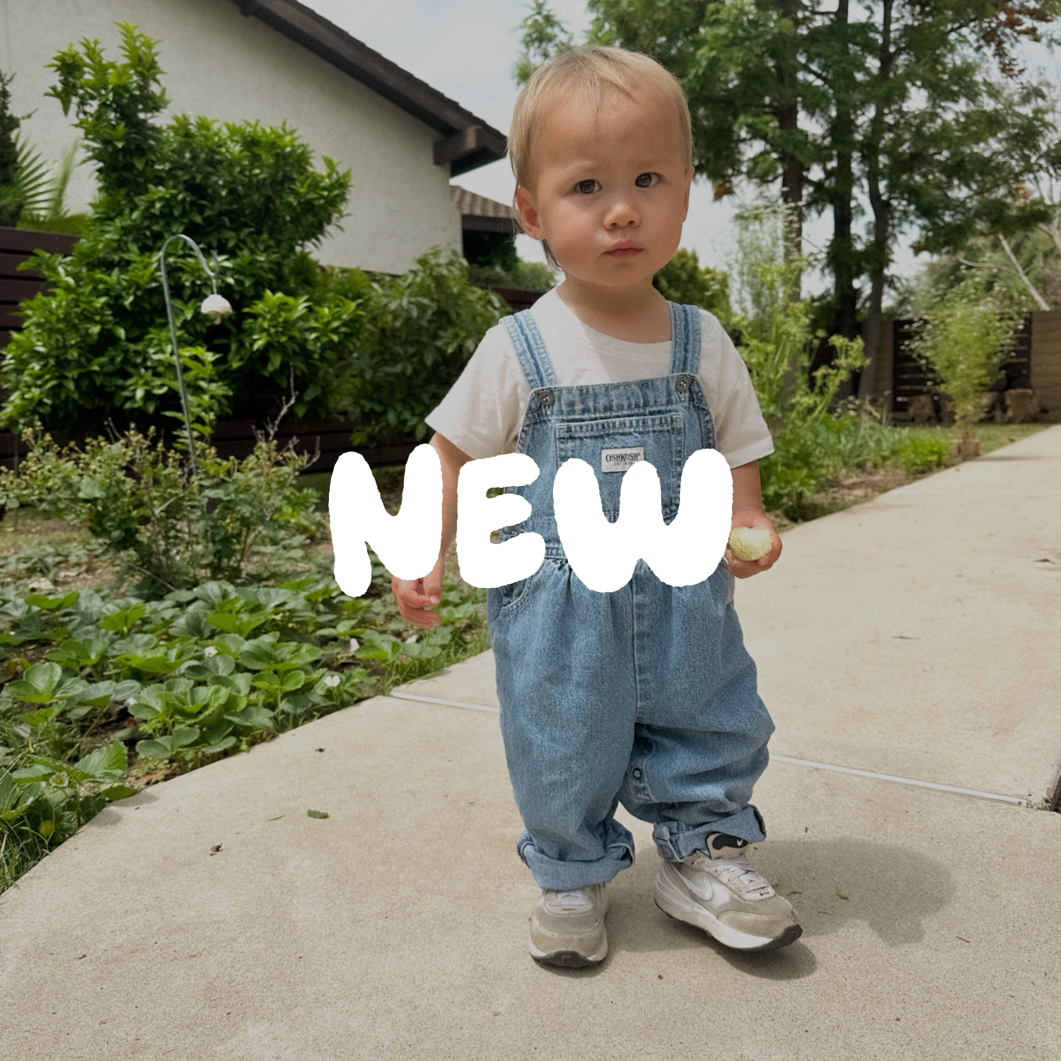 NEW ARRIVALS